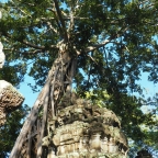 Angkor Temples – Prohm Temple & Elephant Terrace